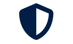 Shield Icon